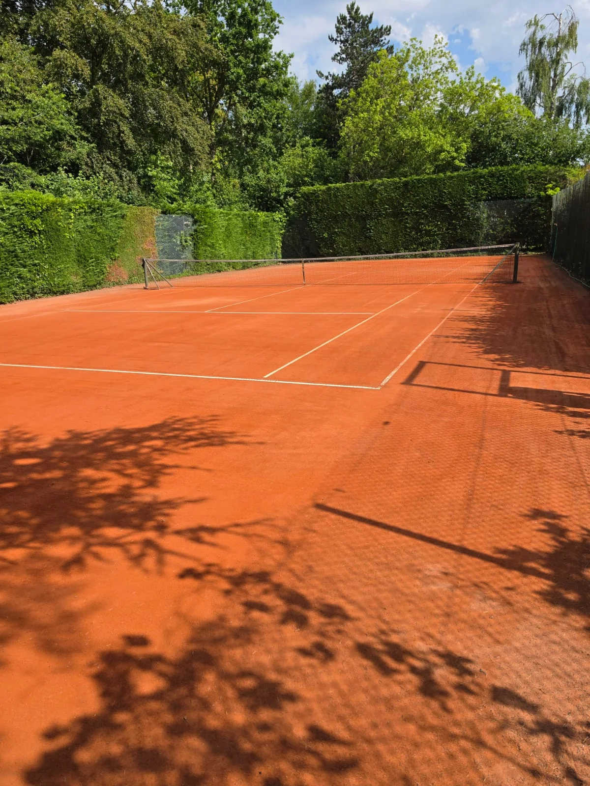 Verzorgd graveltennisplein met net en belijning