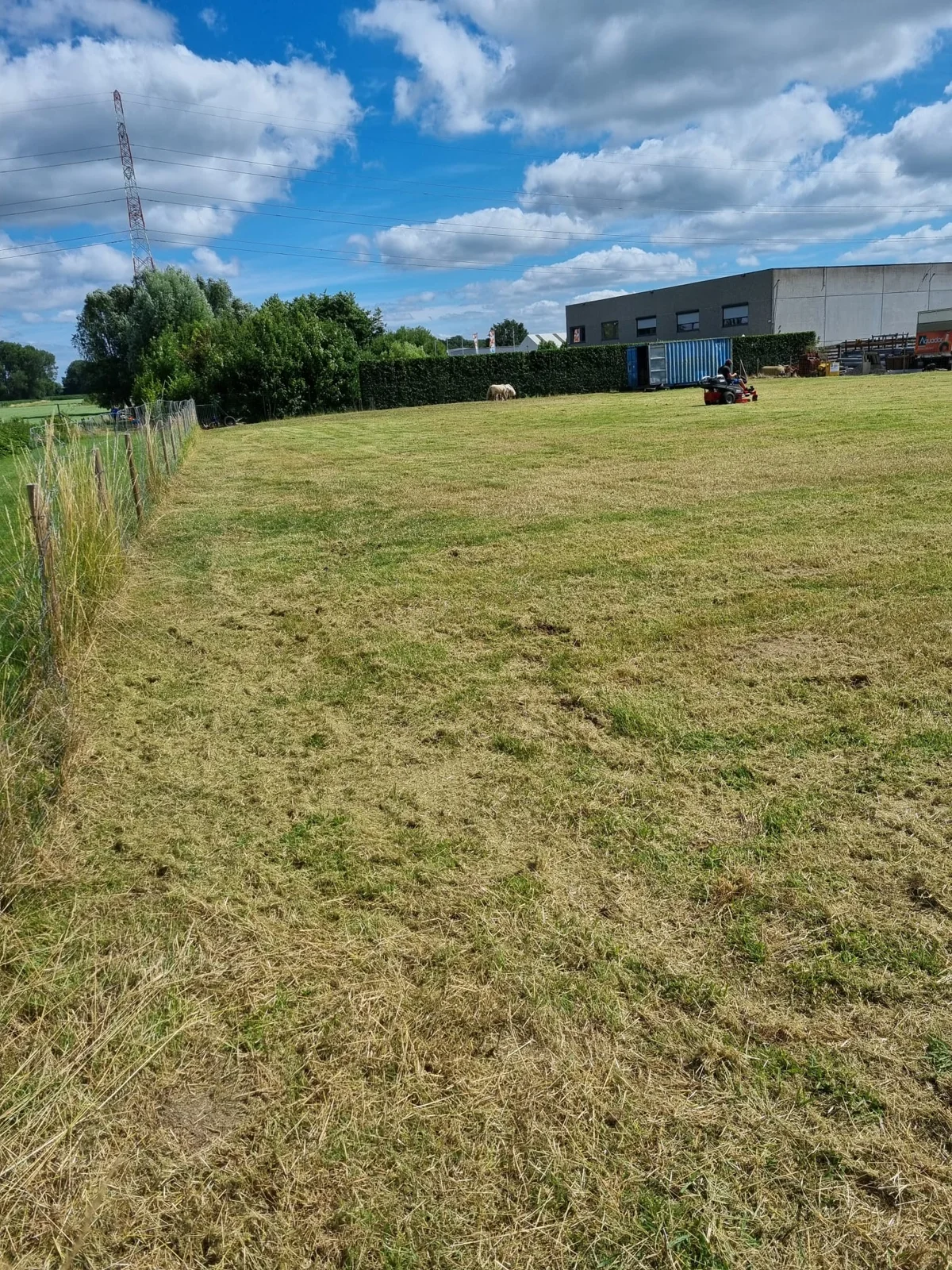 Gemaaid grasperceel met zitmaaier tijdens de werkzaamheden